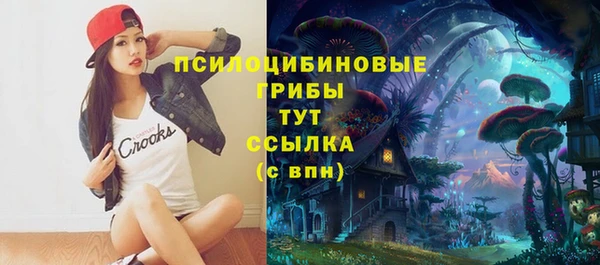 метадон Богородск