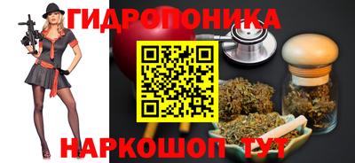 МДПВ Партизанск