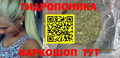 МДПВ Партизанск