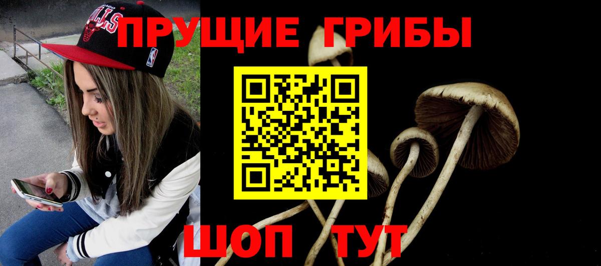продажа наркотиков  Галлюциногенные грибы Psilocybine cubensis  Галлюциногенные грибы Psilocybine cubensis  Вход с VPN  Славгород 